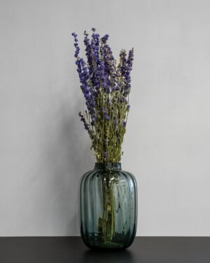 Torkade Delphinium – Riddarsporre Delphinium 6