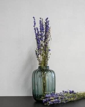 Torkade Delphinium – Riddarsporre Delphinium 9