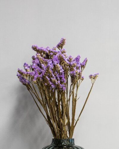 Forever Flora