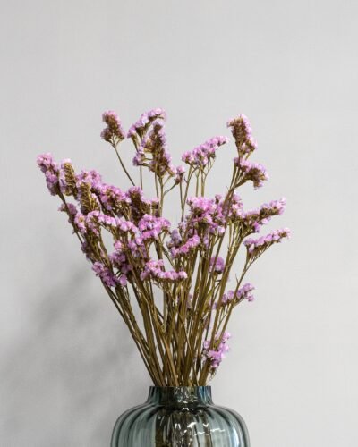 Forever Flora