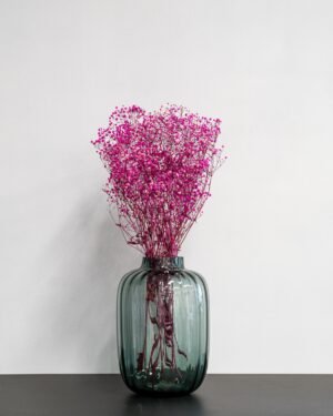 Slöjblommor - Gypsophila-1