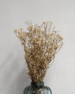 Konserverade Slöjblommor – Gypsophila Slojblommor Gypsophila 11