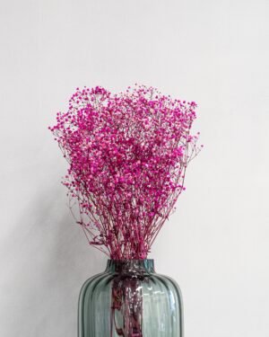 Konserverade Slöjblommor – Gypsophila Slojblommor Gypsophila 2