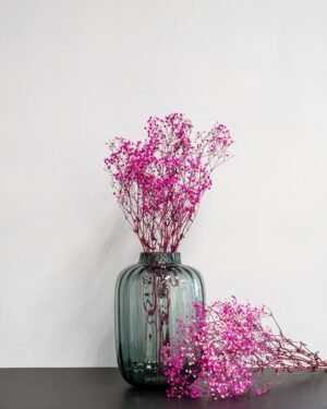 Konserverade Slöjblommor – Gypsophila Slojblommor Gypsophila 4