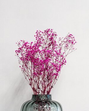Konserverade Slöjblommor – Gypsophila Slojblommor Gypsophila 5