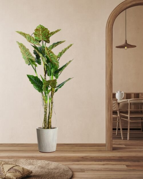 Konstväxt Colocasia