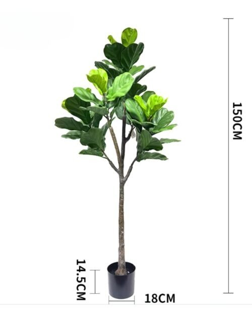 Konstväxt Fiolfikus