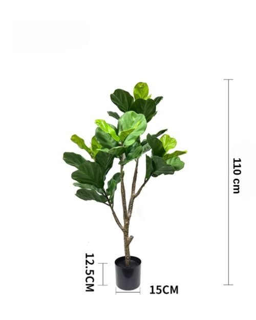 Konstväxt Fiolfikus