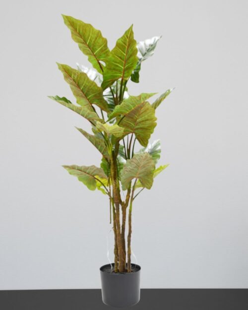 Konstväxt Colocasia
