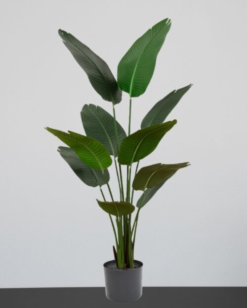 Konstgjord Strelitzia