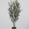 Konstgjord Olivträd