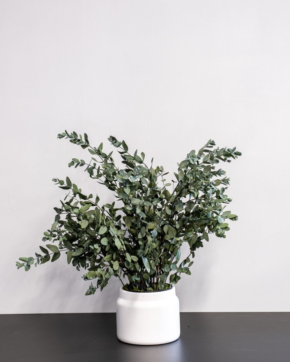 Krukväxt konserverade Gunny