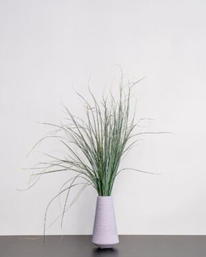 Björnlilja (Bear Grass)- Konserverade Växter Guni krikvaxt 8