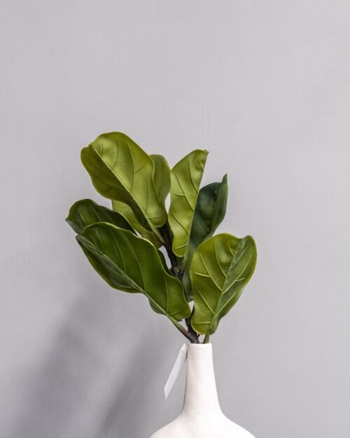 Konstväxt Fiolfikus bukett
