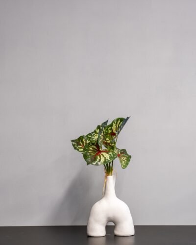 Konstväxt Caladium Thai