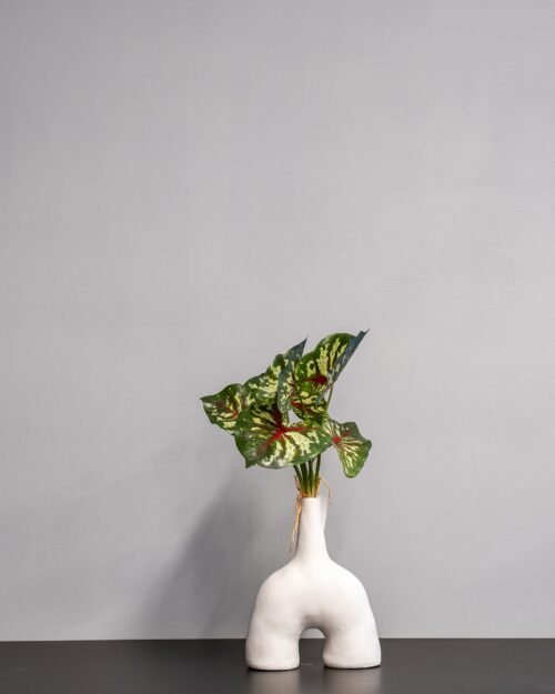 Konstväxt Caladium Thai