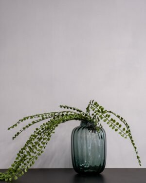Konstväxt Pilea bukett 