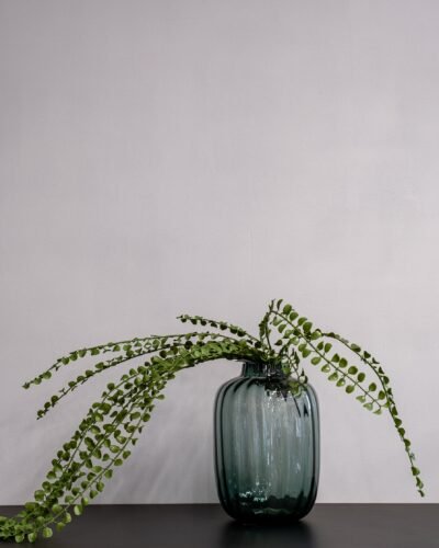Konstväxt Pilea bukett 