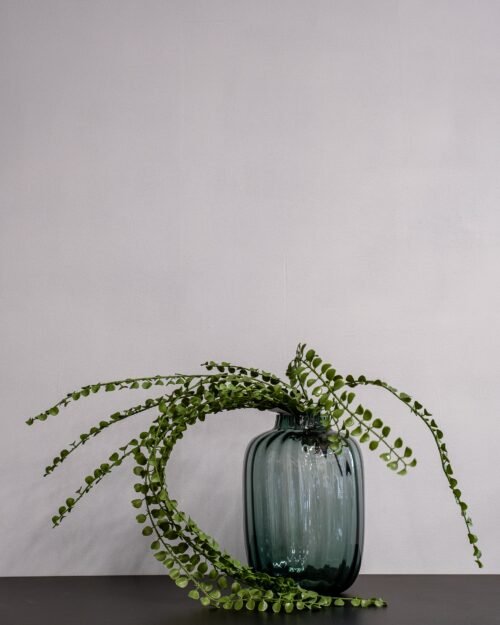 Konstväxt Pilea bukett 