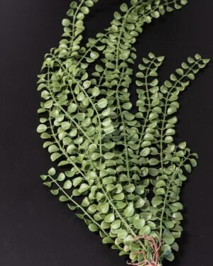 Konstväxt Pilea bukett 