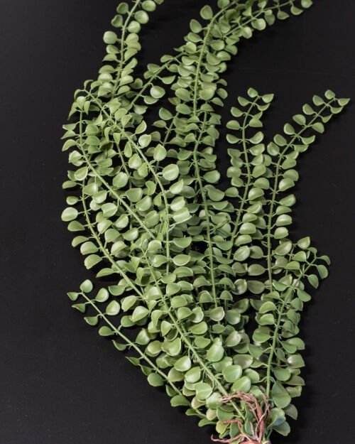 Konstväxt Pilea bukett 