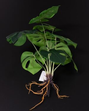 Konstväxt Monstera