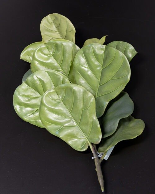 Konstväxt Fiolfikus bukett