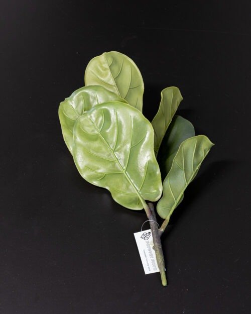 Konstväxt Fiolfikus bukett