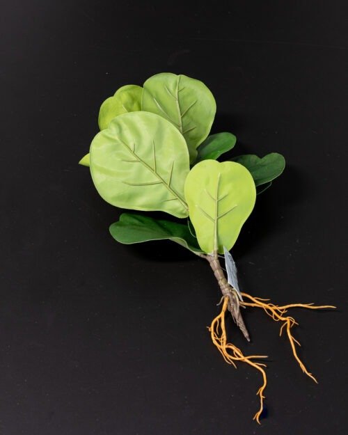 Konstväxt Fiolfikus bukett