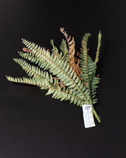 Konstgjord ormbunke grön