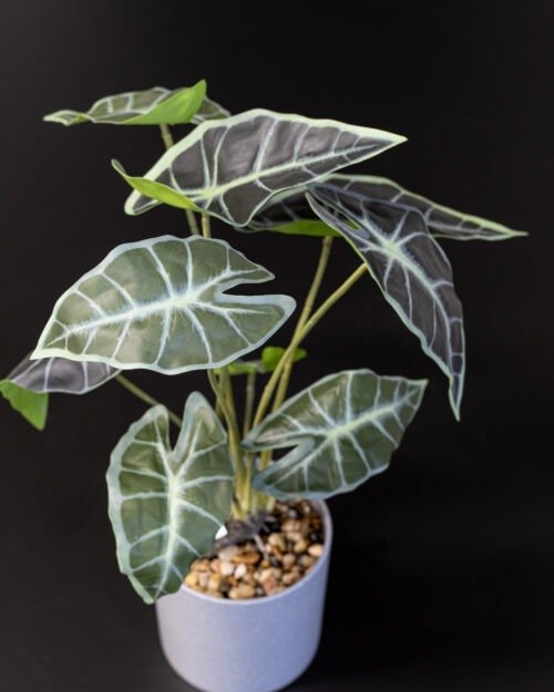 Konstgjord Alocasia Krukväxt