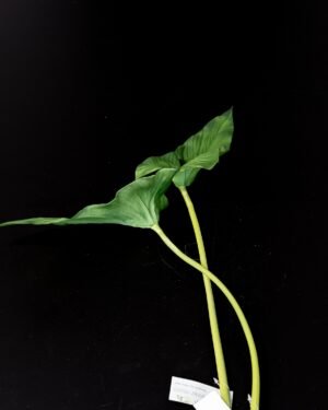 Konstgjord alocasia cacullata blad