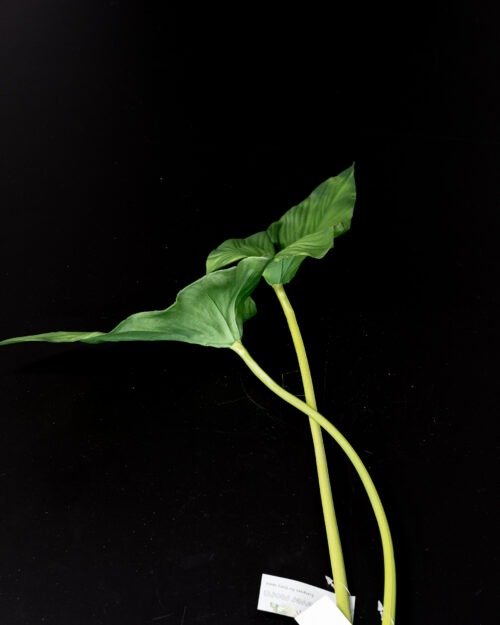 Konstgjord alocasia cacullata blad