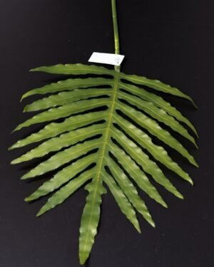Konstgjorda Dekorativa palmblad i Modern Design – 70 cm Konstgjorda vaxter 158