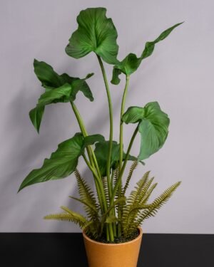 Konstgjord Alocasia cucullata krukväxt – 75 cm 7 Alocasia cucullata krukväxt