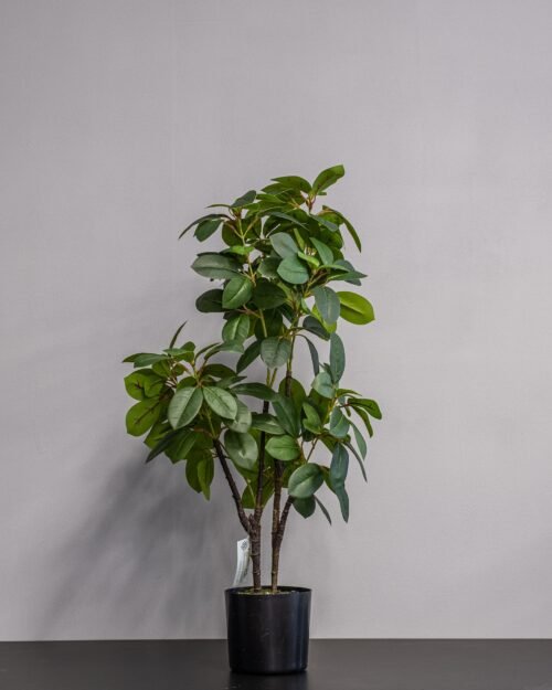 Konstgjord Ficus krukväxt