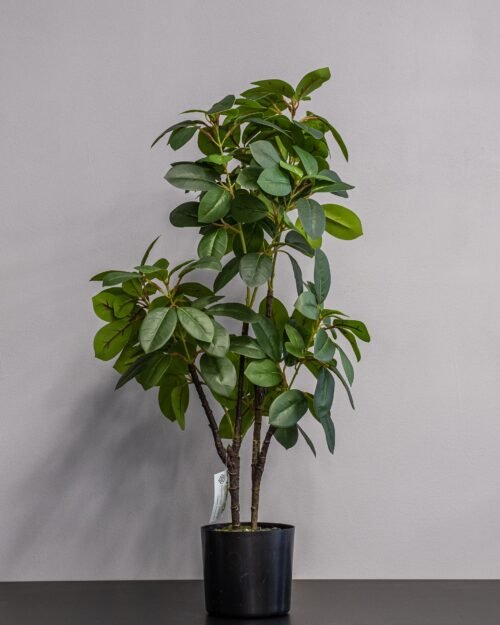 Konstgjord Ficus krukväxt