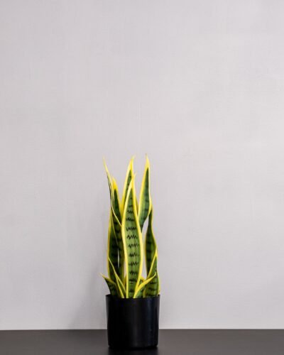 Konstgjord Sansevieria