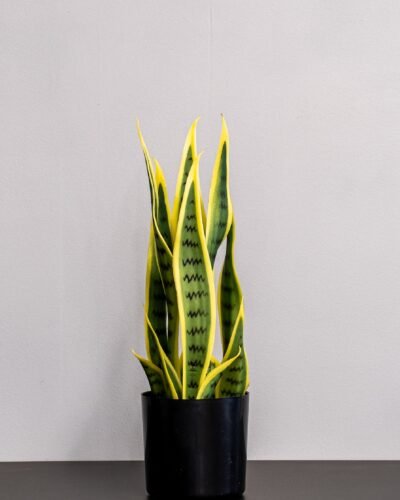 Alternative view of Konstgjord Sansevieria i Melaminkruka - 40 cm Höjd