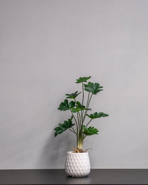 Konstgjord Philodendron krukväxt