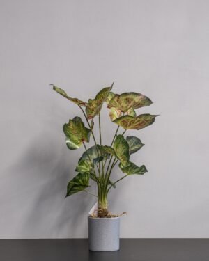Konstgjord Caladium krukväxt