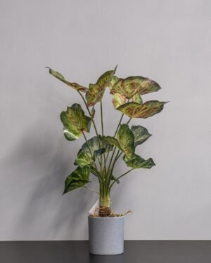 Konstgjord Caladium krukväxt