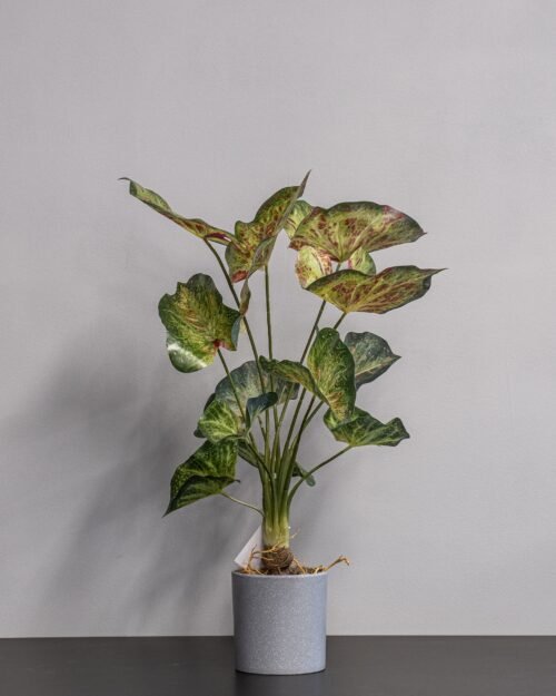 Konstgjord Caladium krukväxt