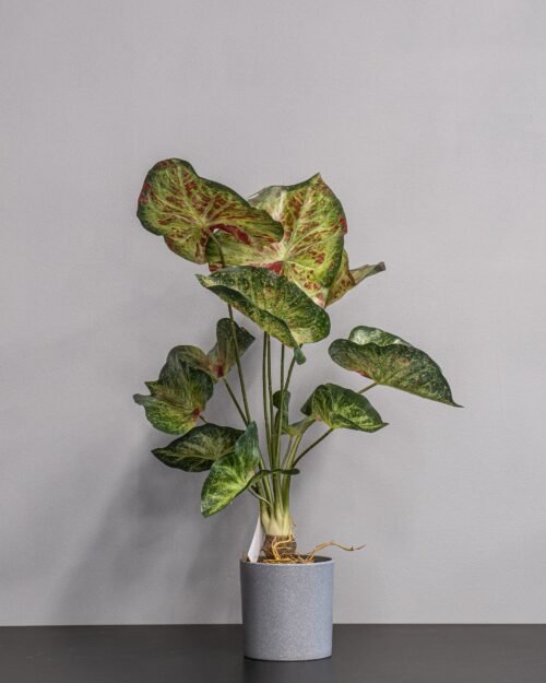 Konstgjord Caladium krukväxt