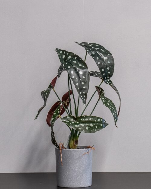 Alternative view of Konstgjord begonia Krukväxt - 45 cm Höjd