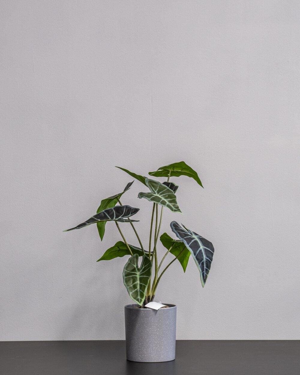 Konstgjord Alocasia Krukväxt