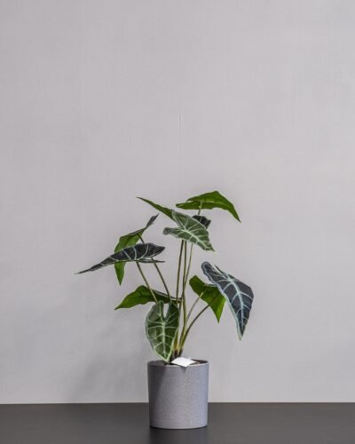 Konstgjord Alocasia Krukväxt