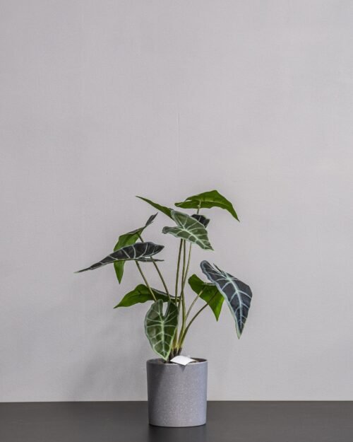 Konstgjord Alocasia Krukväxt