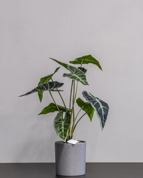 Alternative view of Konstgjord Alocasia Krukväxt - 45 cm Höjd