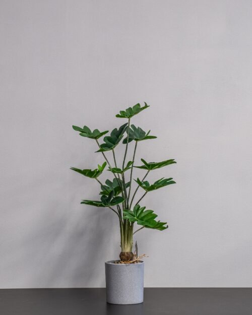 Konstgjord Philodendron krukväxt